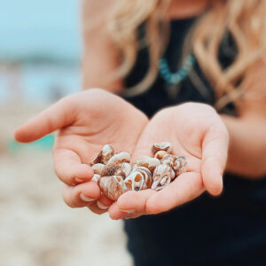 Die Hände einer blonden Frau halten Strandmuscheln
